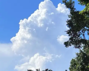 金昌天气预报,金昌7天天气预报,金昌15天天气预报,金昌天气查询